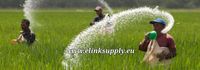 Urea Fertilizer